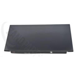 Asus LMT LCD TP 15.6' FHD US EDP